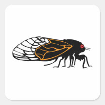Magicada - Cicada - Cigale - Summer Buzz Square Sticker