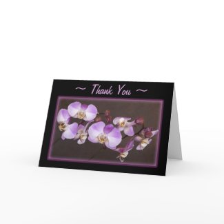 Magical Beauty of Phalaenopsis Orchid zazzle_card