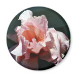 Magical Encounter Iris-04 Refrigerator Magnets Magical Encounter Iris-04 Refrigerator Magnets