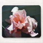 Magical Encounter Iris-04 Mousepads