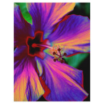 Magical Flower flyers by Beautiful_Prayers Magical Flower flyers
