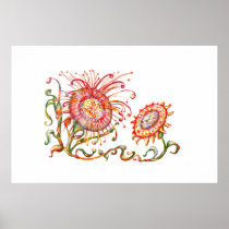 *Magical Flower* Poster