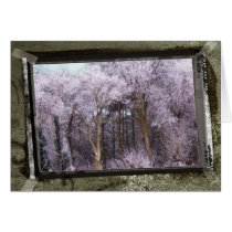 Magical Forest card cards