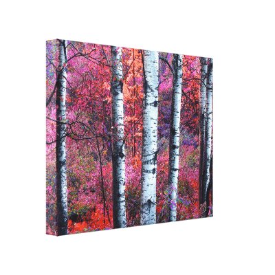 Magical Forest Gallery Wrapped Canvas