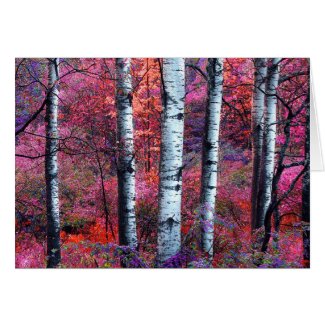 Magical Forest Greeting Cards