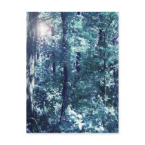 Magical Forest Post Cards
