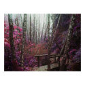 Magical Forest posters