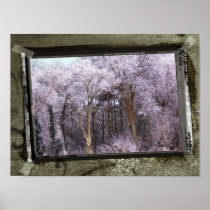 Magical Forest print posters