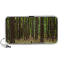 Magical Forest speakers