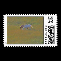 Magical Horses postage