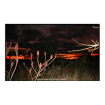 Magical moment posters by Phoenix_Toliman Magical moment posters