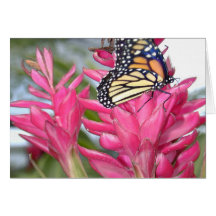 Magical Monarch Card
