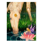 Magical Pond Unicorn & Fairy Fantasy postcard