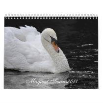 Magical Swans 2011 Calendars