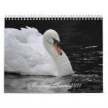 Magical Swans 2011 Calendars