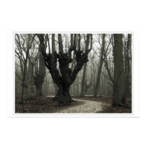 Magical Wood posters by herbstliebe Magical Wood posters