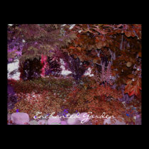 magicalgarden, Enchanted Garden posters
