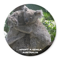 Magnet Adopt A Koala Australia ZIZZAGO by shanmaree Magnet Adopt A Koala Australia ZIZZAGO