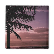 Magnet Afternoon Glow Coolangatta Australia
