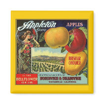 MAGNET ~ APPLETON BRAND APPLES VINTAGE FRUIT LABEL
