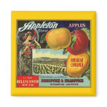 MAGNET ~ APPLETON BRAND APPLES VINTAGE FRUIT LABEL