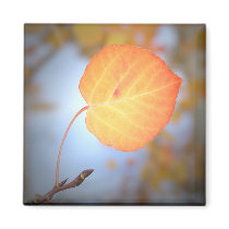 Magnet-Aspen Leaf