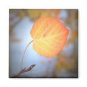 Magnet-Aspen Leaf by ByTheBecks Magnet-Aspen Leaf