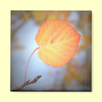Magnet-Aspen Leaf