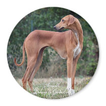 MAGNET Azawakh rouge by Azawakh_France MAGNET Azawakh rouge