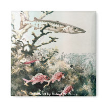 Magnet / Barracuda and Reef Fishes