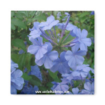 Magnet - Blue Flowers by unclechuckstoys Magnet - Blue Flowers