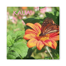 Magnet - Butterfly on Orange Wildflower by treasuresfromhawaii Magnet - Butterfly on Orange Wildflower