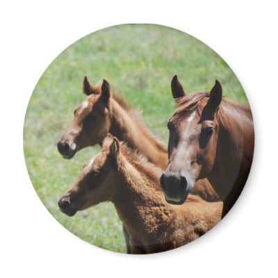 Magnet - Chestnut Mare & Foals by smilodonart