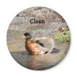 Magnet, Dishwasher, Clean Robin