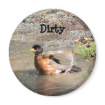 Magnet, Dishwasher, Robin taking a Bath, Dirty