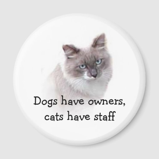 Magnet - Dogs have owners, cats have staff | Zazzle