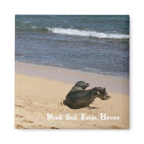 Magnet - Endangered Monk Seal, Kauai, Hawaii