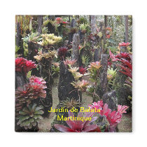 Magnet Garden of Balata - Martinique