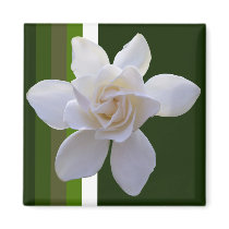 Magnet - Gardenia on Stripes