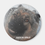 Magnet German Shepherd In The Snow Smiling