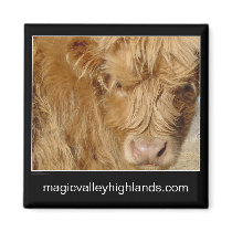 Magnet - Highland Cattle by pawtraitart Magnet - Highland Cattle