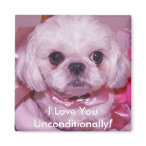 Magnet I Love You Unconditionally! by shanmaree Magnet I Love You Unconditionally!