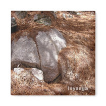 Magnet_Inyanga_pine-needles by RAIN_DESIGNS Magnet_Inyanga_pine-needles