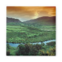 Magnet-Ireland