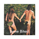 Magnet, Lyme Disease Tick Awareness zazzle_magnet