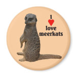 Magnet “Meerkats “