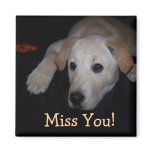 Magnet Miss You!