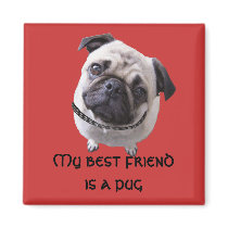 Magnet "Mops"