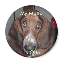 Magnet: My Motto Is Otto