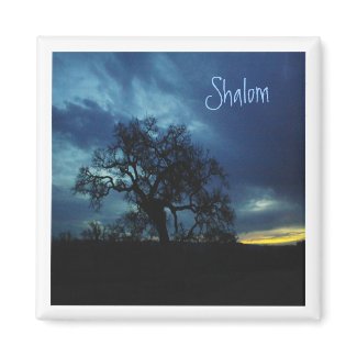 Magnet-Oak at Sunset, Shalom! magnet